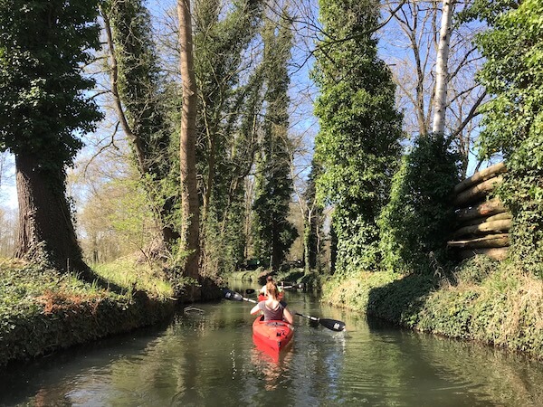 Zwei Personen paddeln im Spreewald auf einem Spreewaldfließ