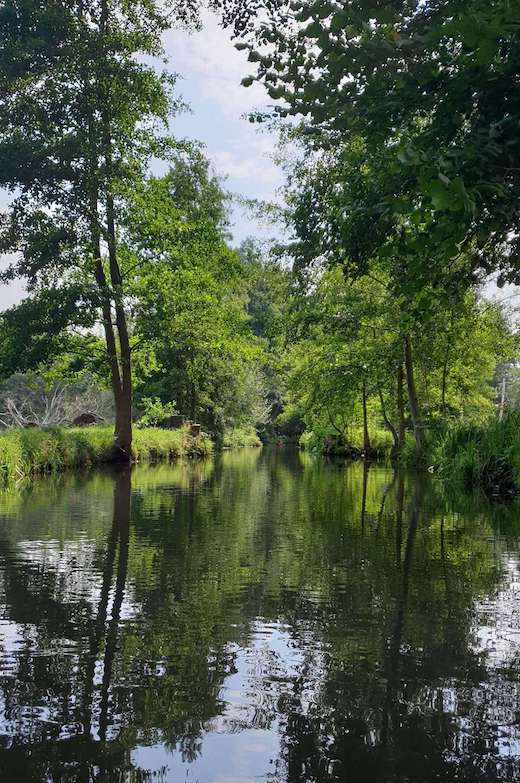 Blick von einem Paddelboot auf ein Spreewald Fließ im Hochwald